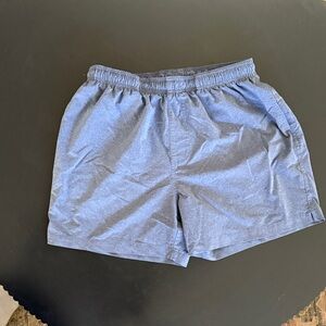 Chubbies Athletic Gray Shorts